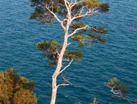 航海少年团4·大海里的流浪草原的读后感大全