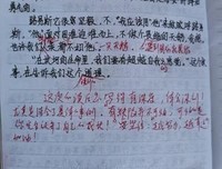 《效率崇拜》读后感100字