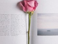 雨过天晴的语句摘抄_关于雨过天晴的语句