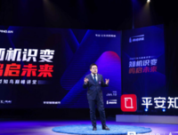 《无止之境：中国平安成长之路》读后感摘抄