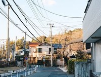 《东京散步》经典读后感有感