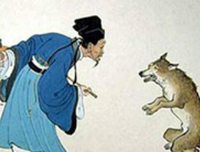《慈悲的法则》读后感100字