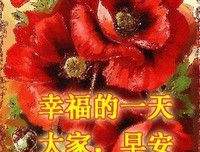 依旧在意句子