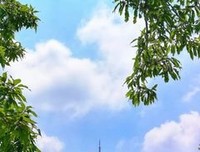 霸有山并到侧漏经典名句