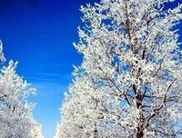 我想对你说的过你句子大全