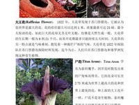 第一堂课读后感精选