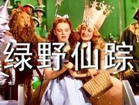 《铁皮男孩》的读后感大全