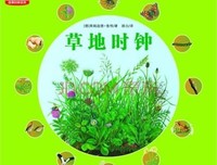 《昆虫的奇妙生活》读后感精选
