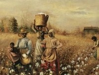 《人文草木：16种植物的起源、驯化与崇拜》经典读后感