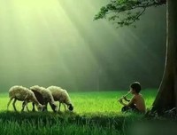 不见此文，终身遗憾（百读不厌）