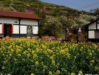 人生苦短甜长读后感1000字