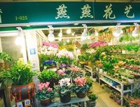DK中英双语幼儿玩具书：春夏秋冬读后感精选
