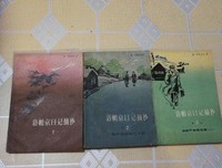 《寻找西蒙》影评摘抄