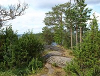 有关烟雨林南的句子