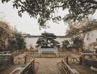 到和些年，陪我们一起了样边过的诗经~