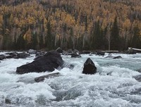 《流景难寻》的句子