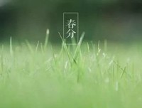 原创《春分》