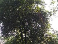 当你学会独处读后感精选