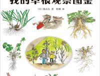 我的草根观察图鉴读后感摘抄