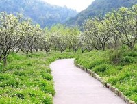 随手采撷，暗香盈袖句子大全