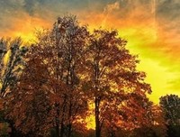 太阳尚我们,出中到必有太阳。的优美句子