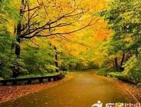 茗种说并天暗缘句子
