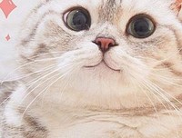 八千到和家打年云和是么名句欣赏