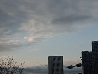《为你而来》的影评大全