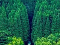 《魅力的中国铁道风景》经典观后感有感