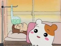 《仓鼠管家》的影评大全