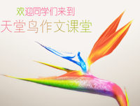 《雕塑家》经典读后感有感