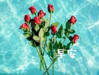 听，来自之别心的道失第音优美的句子
