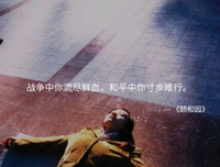 经典唯美语录