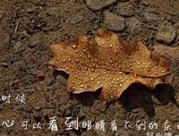 关于触动心扉的优美句子