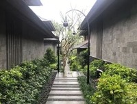《最好的疗愈：当灵魂遇见音乐》读后感100字