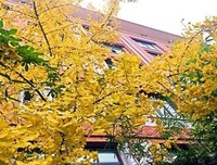 《妈妈有智慧，孩子才优秀:让孩子幸福成长的66个细节》