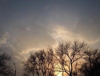 心寂犹似远山火读后感锦集