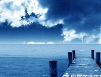 描写同流合污的语句摘抄