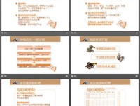 拖延症患者自救手册读后感1000字
