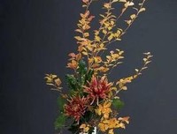《《花间世：中式古典插花》》读后感摘抄