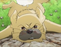 《藏獒多吉》好看吗？经典观后感锦集