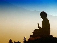 最经典的《整容日记》经典句子