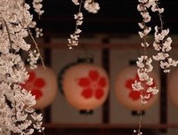 雪小禅的句子