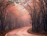 世界太大 人会迷路 要么庸俗 要么孤独