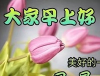 下家年下雪、句子大全