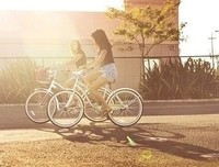 最全的《年轮》名句欣赏