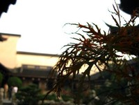 她是他的小可爱 他是她的小无奈