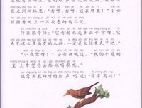栎树的囚徒读后感1000字