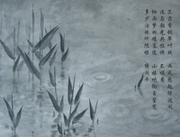 赵匡胤传读后感1000字