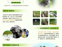中国优势读后感精选